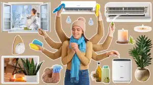 purifier l'air de sa maison