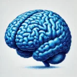 🧠🟦 DISC – Le Cerveau Bleu : La Conformité