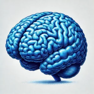 un cerveau bleu