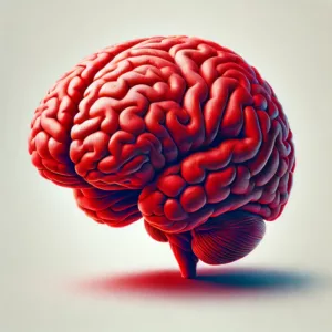 cerveau rouge