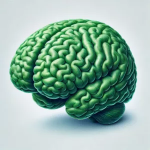 un cerveau vert